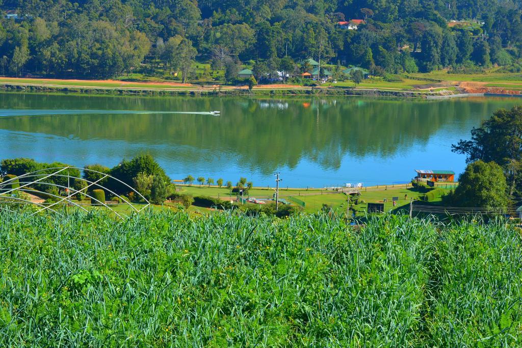 Guest House Hill Paradise Nuwara Eliya Zewnętrze zdjęcie